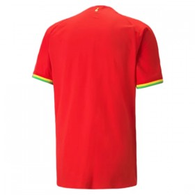 Ghana Auswärts Trikotsatz World Cup 2022 Kurzarm